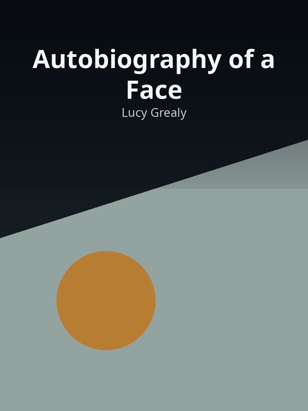 Autobiography of a Face by Lucy Grealy book cover