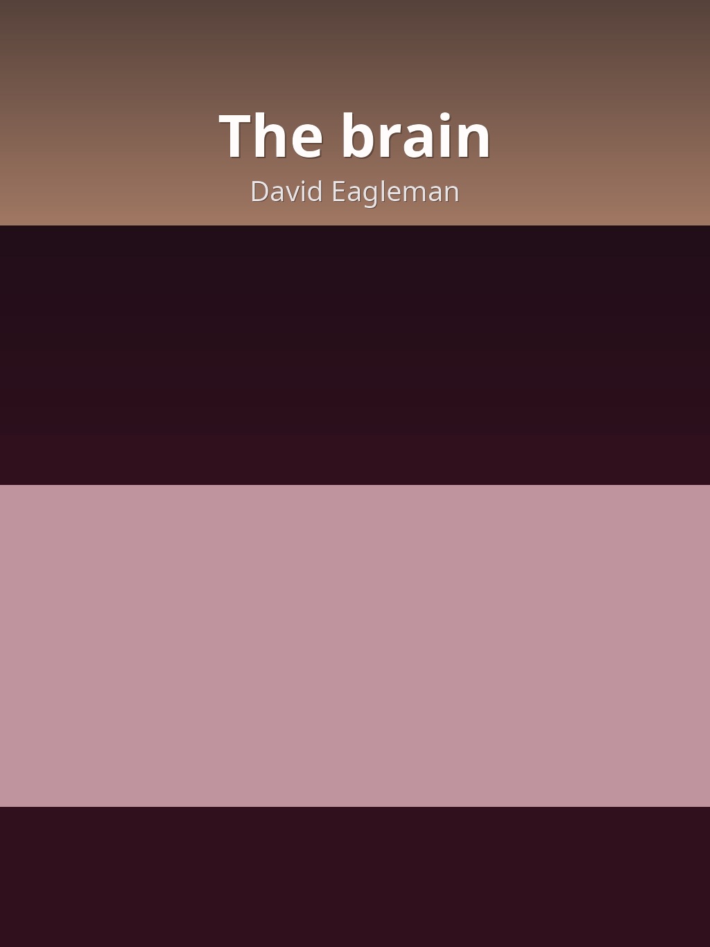 The brain by David Eagleman book cover