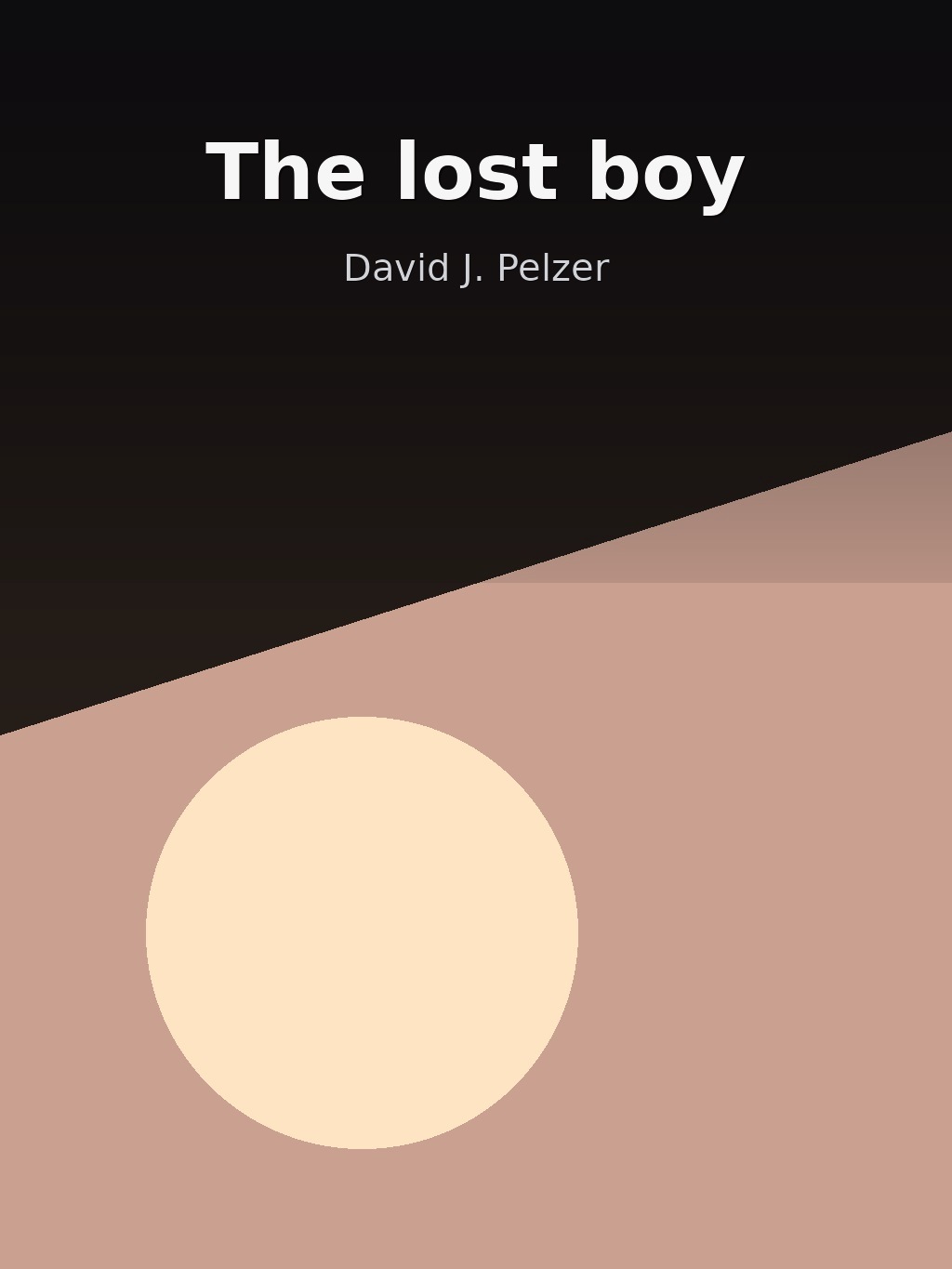 The lost boy by David J. Pelzer book cover
